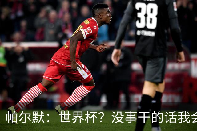 帕尔默：世界杯？没事干的话我会看看，我希望他们能走到最后