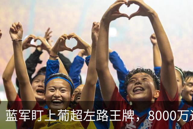 蓝军盯上葡超左路王牌，8000万违约金拦着，切尔西却已经敲门了